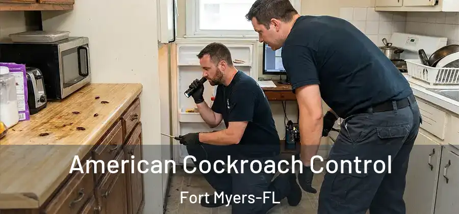  American Cockroach Control Fort Myers-FL