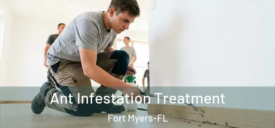 Ant Infestation Treatment Fort Myers-FL