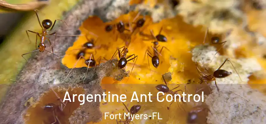  Argentine Ant Control Fort Myers-FL