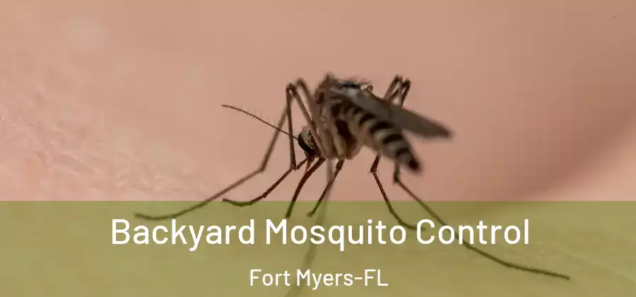  Backyard Mosquito Control Fort Myers-FL
