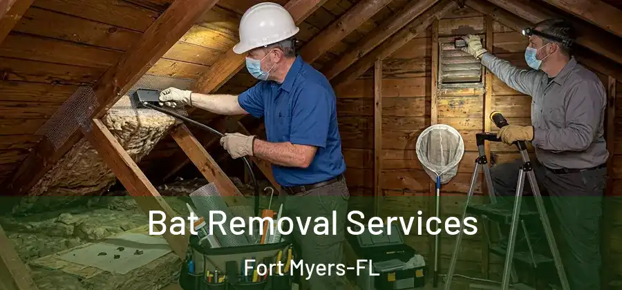  Bat Removal Services Fort Myers-FL