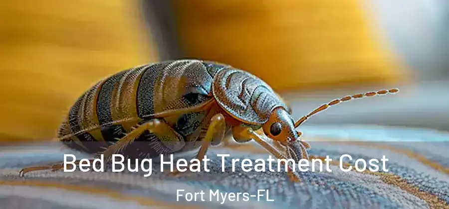 Bed Bug Heat Treatment Cost Fort Myers-FL