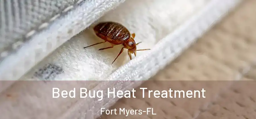Bed Bug Heat Treatment Fort Myers-FL