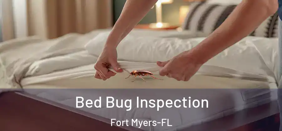  Bed Bug Inspection Fort Myers-FL