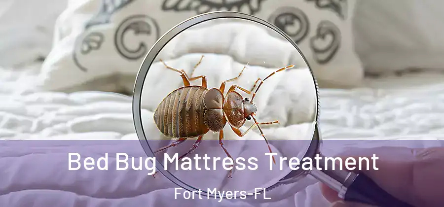 Bed Bug Mattress Treatment Fort Myers-FL