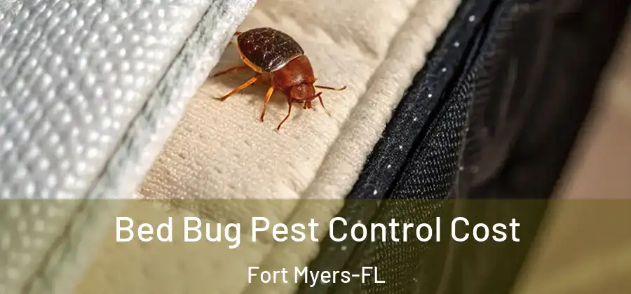 Bed Bug Pest Control Cost Fort Myers-FL