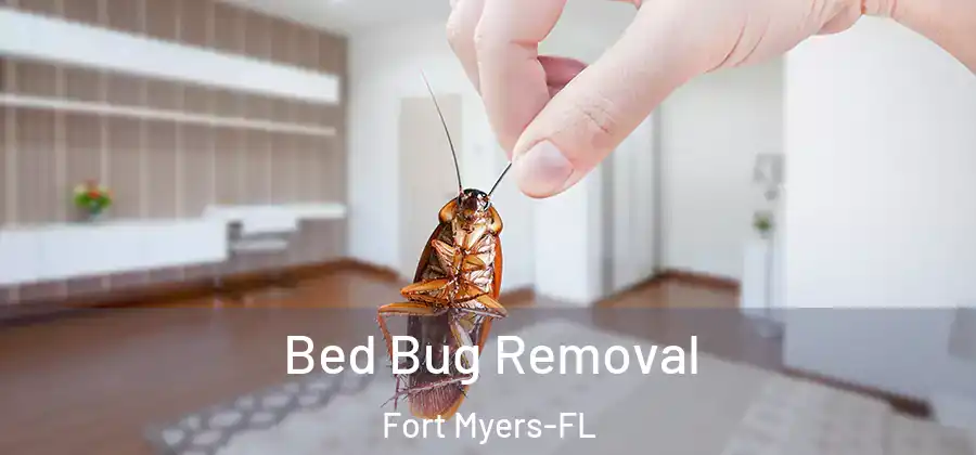 Bed Bug Removal Fort Myers-FL