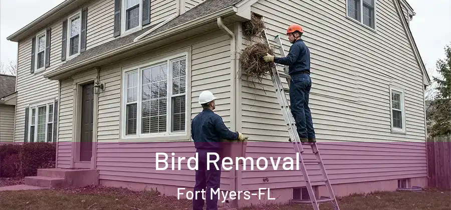 Bird Removal Fort Myers-FL