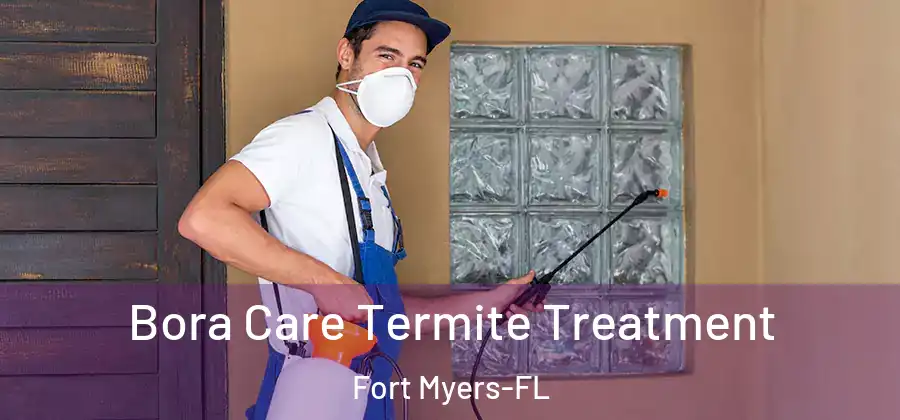 Bora Care Termite Treatment Fort Myers-FL
