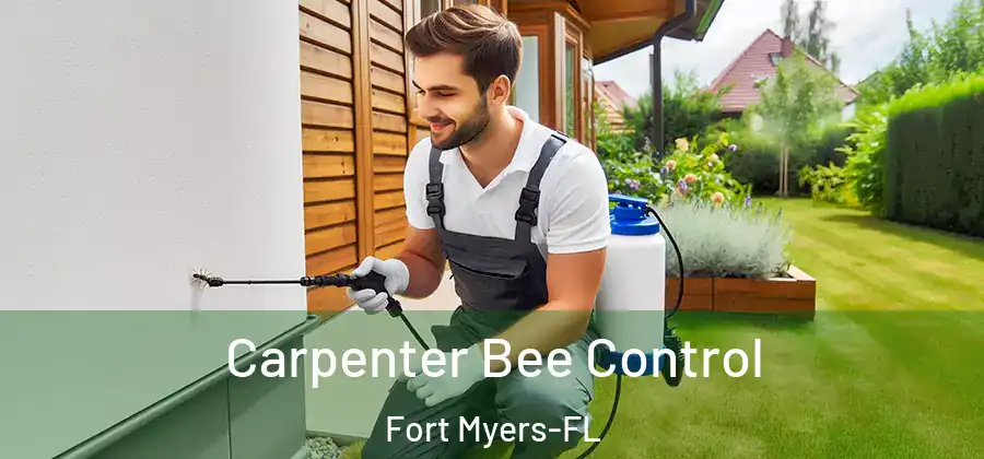  Carpenter Bee Control Fort Myers-FL
