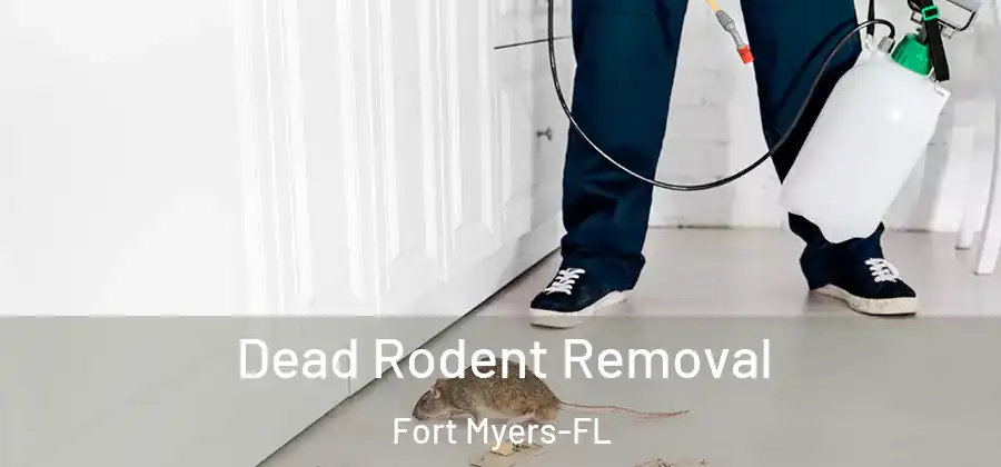 Dead Rodent Removal Fort Myers-FL