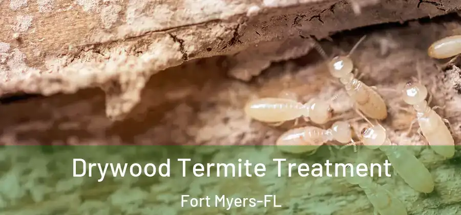 Drywood Termite Treatment Fort Myers-FL