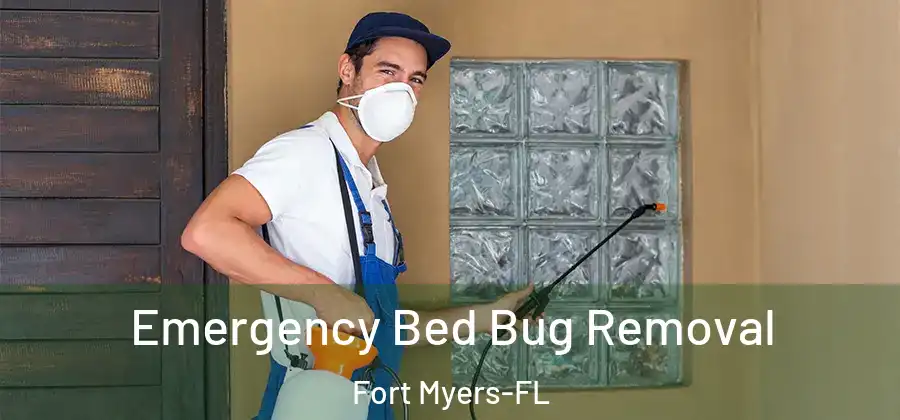  Emergency Bed Bug Removal Fort Myers-FL