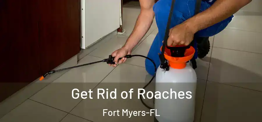 Get Rid of Roaches Fort Myers-FL