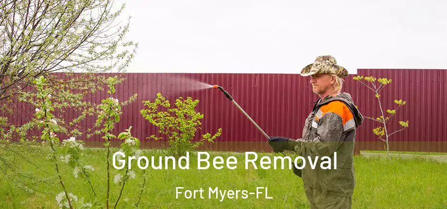  Ground Bee Removal Fort Myers-FL