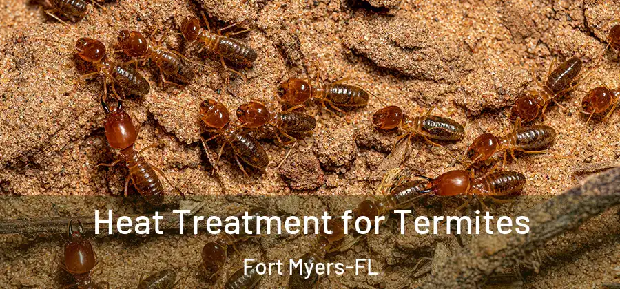 Heat Treatment for Termites Fort Myers-FL
