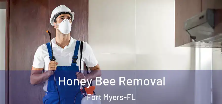  Honey Bee Removal Fort Myers-FL