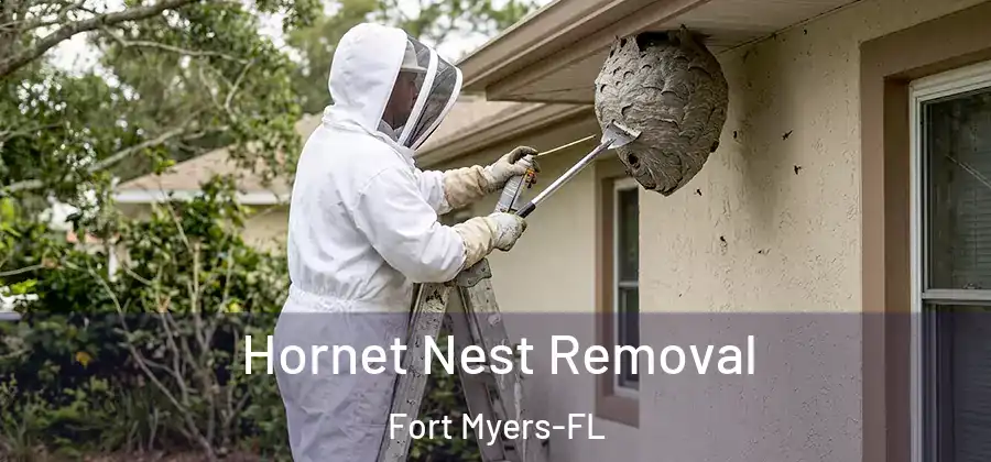 Hornet Nest Removal Fort Myers-FL