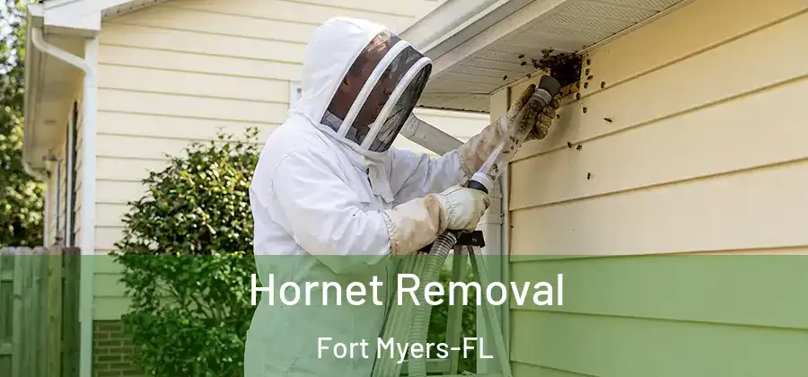 Hornet Removal Fort Myers-FL