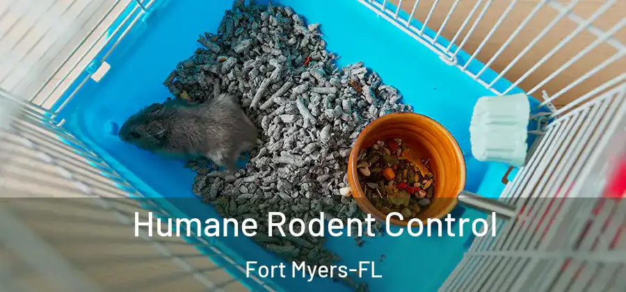 Humane Rodent Control Fort Myers-FL