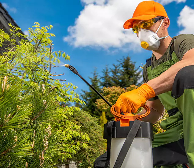 Your Best Bug Spray for Home Team in Fort Myers, FL