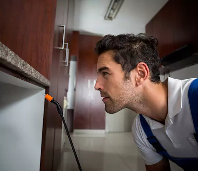 Termite Inspection Cost Experts You Can Trust in Fort Myers, FL