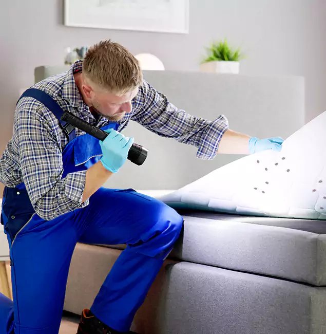 Why Choose Fort Myers Pest Control Pro for Bed Bug Exterminator Cost in Fort Myers, FL?
