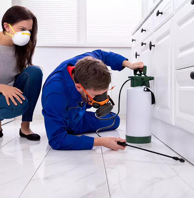 Why Fort Myers, FL Homeowners Trust Fort Myers Pest Control Pro for Roach Control?