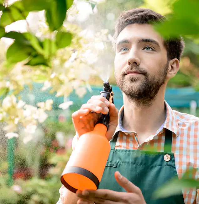 Why Fort Myers Homeowners Call Fort Myers Pest Control Pro for Mosquitoes in House?