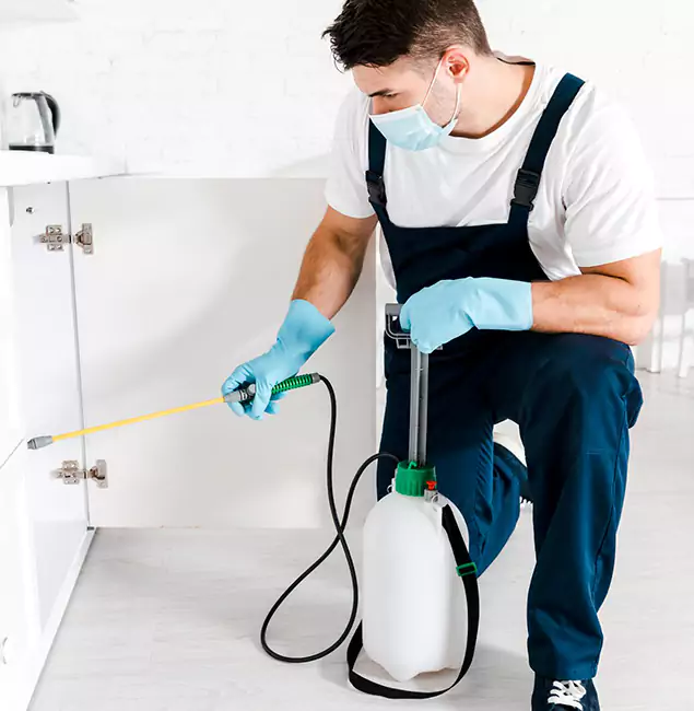 Why Choose Fort Myers Pest Control Pro for Termite Spot Treatment in Fort Myers, FL?
