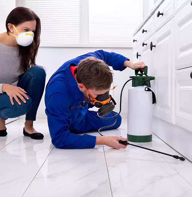 Why Choose Wood Termite Treatment by Fort Myers Pest Control Pro in Fort Myers, FL?