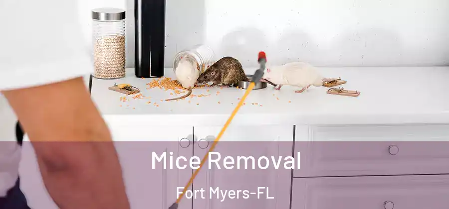  Mice Removal Fort Myers-FL