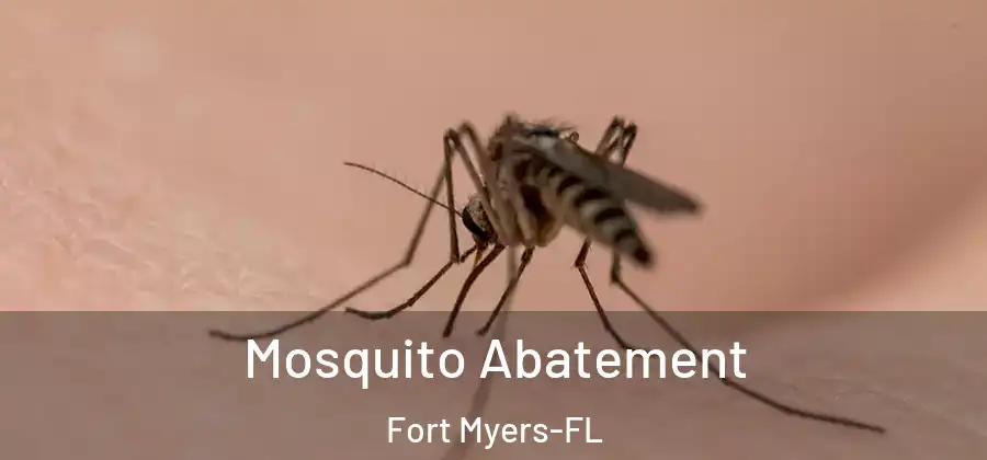 Mosquito Abatement Fort Myers-FL