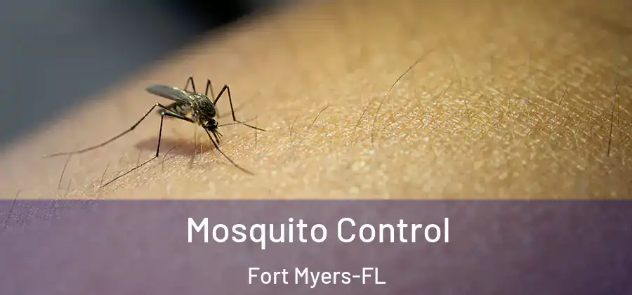  Mosquito Control Fort Myers-FL