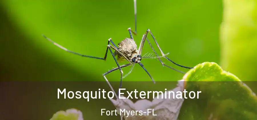 Mosquito Exterminator Fort Myers-FL