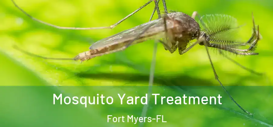 Mosquito Yard Treatment Fort Myers-FL
