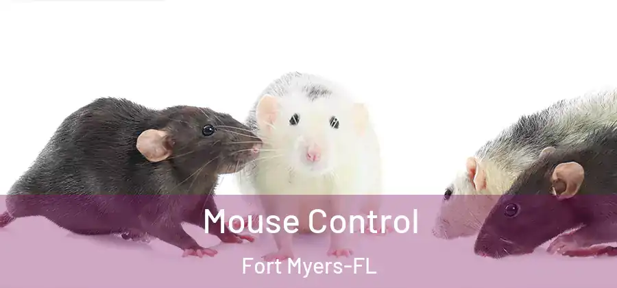  Mouse Control Fort Myers-FL