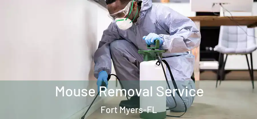 Mouse Removal Service Fort Myers-FL