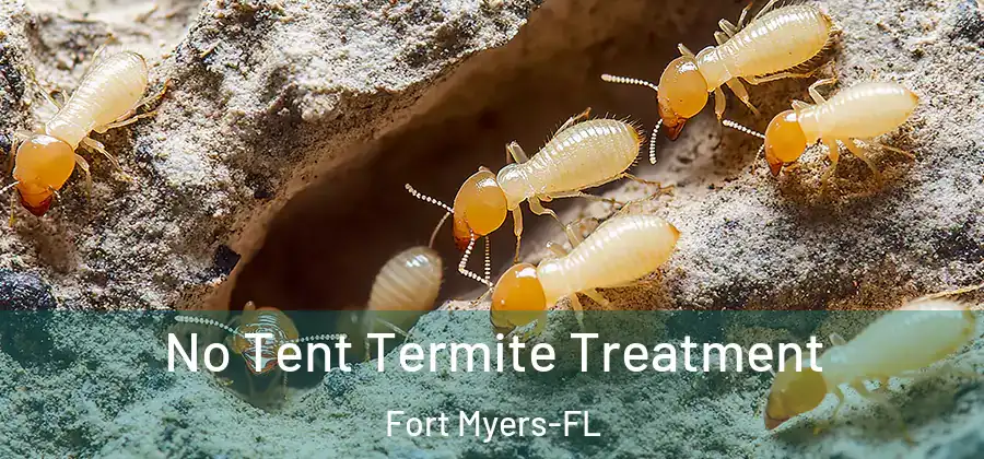 No Tent Termite Treatment Fort Myers-FL