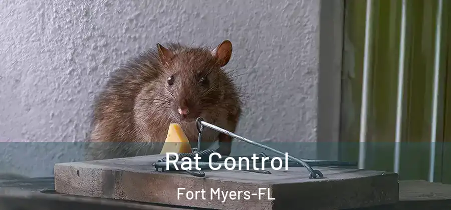 Rat Control Fort Myers-FL