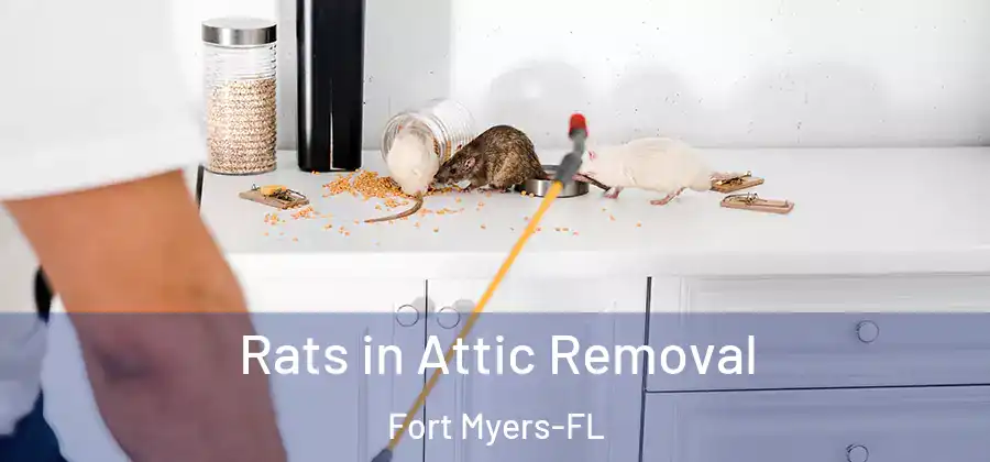 Rats in Attic Removal Fort Myers-FL