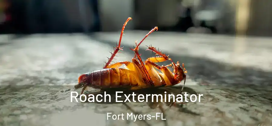  Roach Exterminator Fort Myers-FL