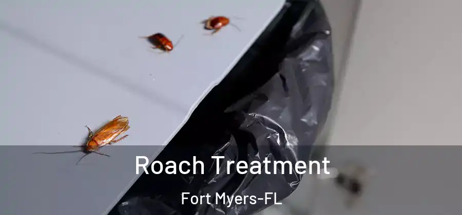  Roach Treatment Fort Myers-FL