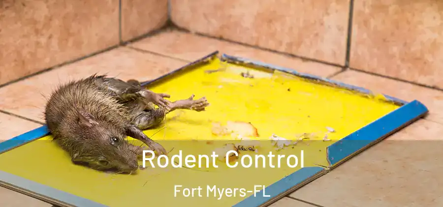  Rodent Control Fort Myers-FL