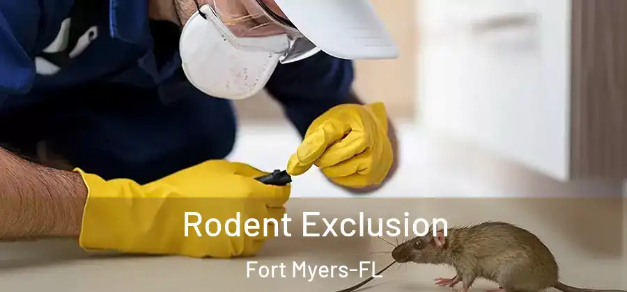 Rodent Exclusion Fort Myers-FL