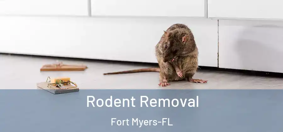 Rodent Removal Fort Myers-FL