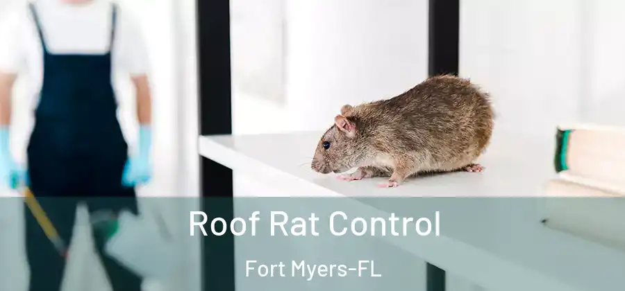 Roof Rat Control Fort Myers-FL