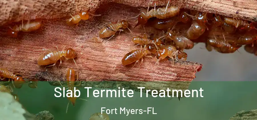 Slab Termite Treatment Fort Myers-FL