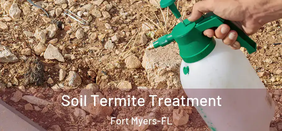 Soil Termite Treatment Fort Myers-FL