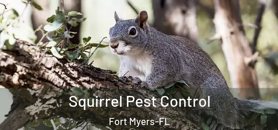  Squirrel Pest Control Fort Myers-FL